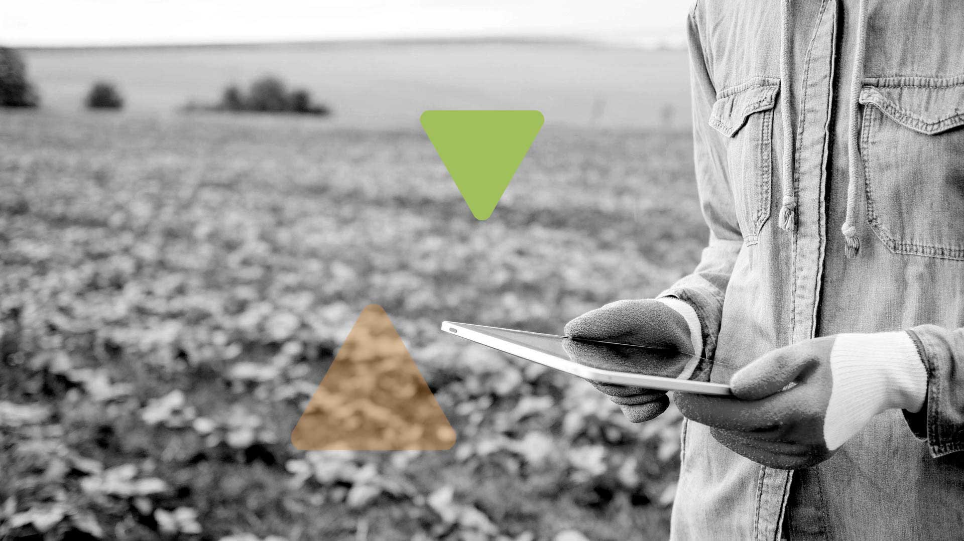 Il marketing per un’azienda agricola può puntare sulla forza dei contenuti